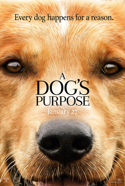 A Dog’s Purpose หมา เป้าหมาย และเด็กชายของผม (2017)