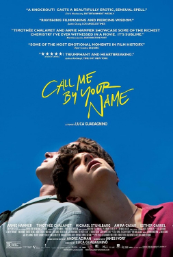 Call Me by Your Name (2017) คอล มี บาย ยัวร์ เนม